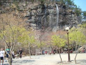Butterfly-Fest&-Mt_Gangcheon-Hiking002