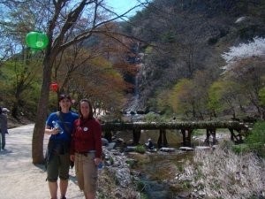 Butterfly-Fest&-Mt_Gangcheon-Hiking004