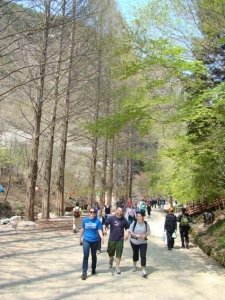 Butterfly-Fest&-Mt_Gangcheon-Hiking006
