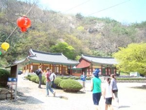 Butterfly-Fest&-Mt_Gangcheon-Hiking008