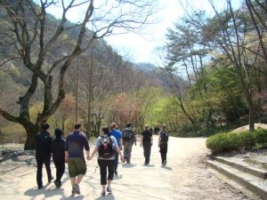 Butterfly-Fest&-Mt_Gangcheon-Hiking009