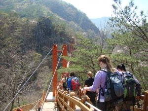 Butterfly-Fest&-Mt_Gangcheon-Hiking010