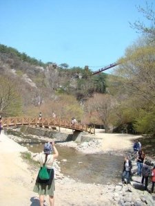 Butterfly-Fest&-Mt_Gangcheon-Hiking012