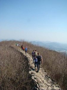 Butterfly-Fest&-Mt_Gangcheon-Hiking016