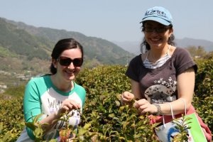 Mt_Jiri-Hiking&-Wild-Tea-Fest011