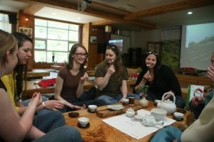 Mt_Jiri-Hiking&-Wild-Tea-Fest056