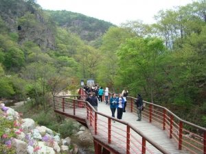 Mt-Gangcheon-Hiking-Butterfly-Festival_April25-26-2009_014