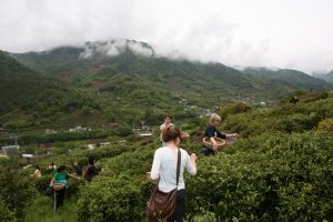 Mt-Jiri-Hiking-Wild-Tea-Festival_May2-3-2009_004