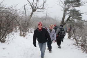 Mt-Taebaek-Snow-Fest-Hiking-Trip_Jan23-24-2010_003