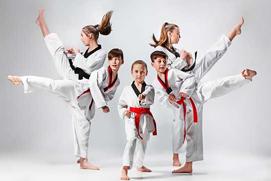 Taekwondo classes