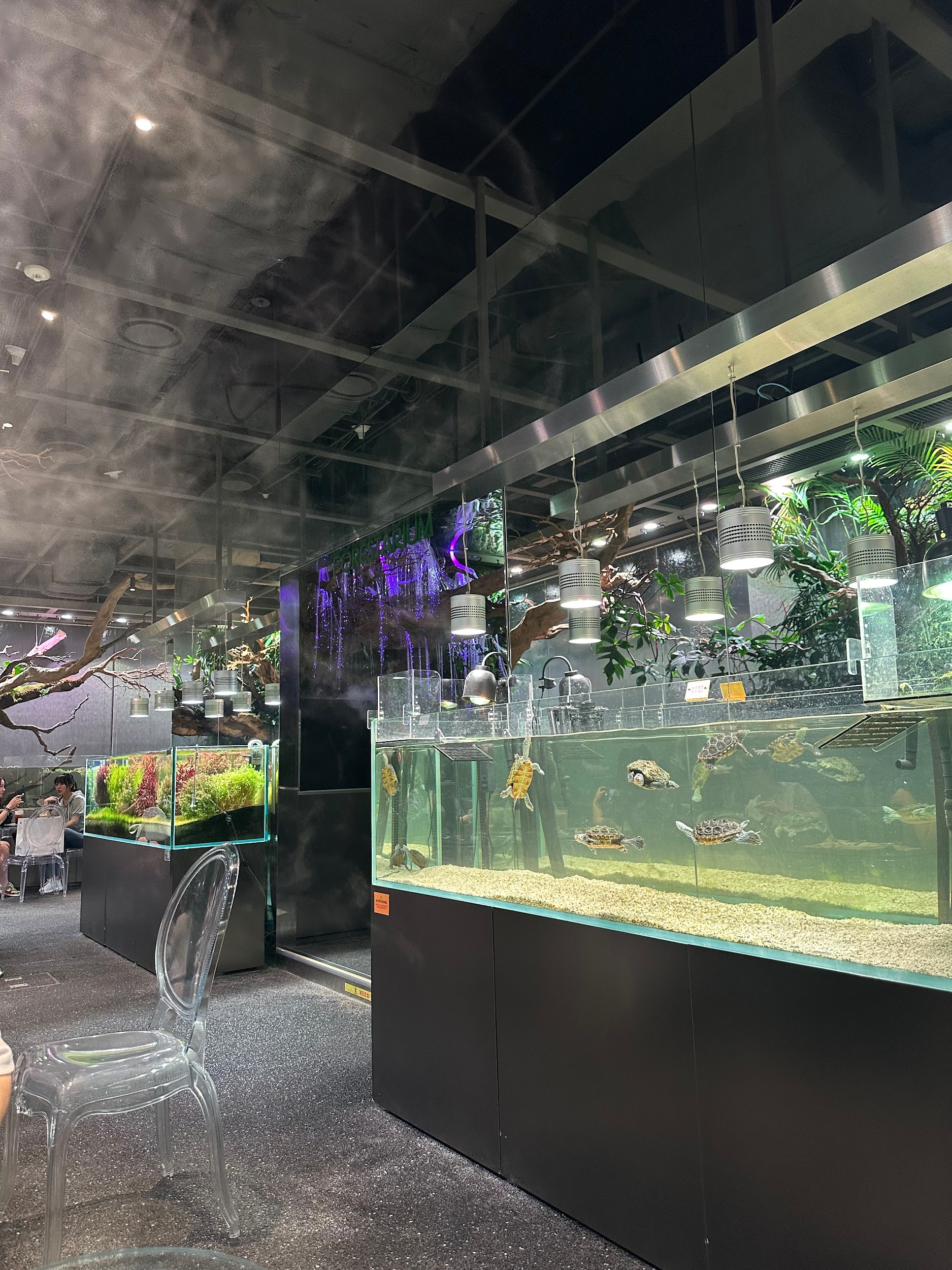 Top 5 unusual and trendy places to discover at Seoul: 15