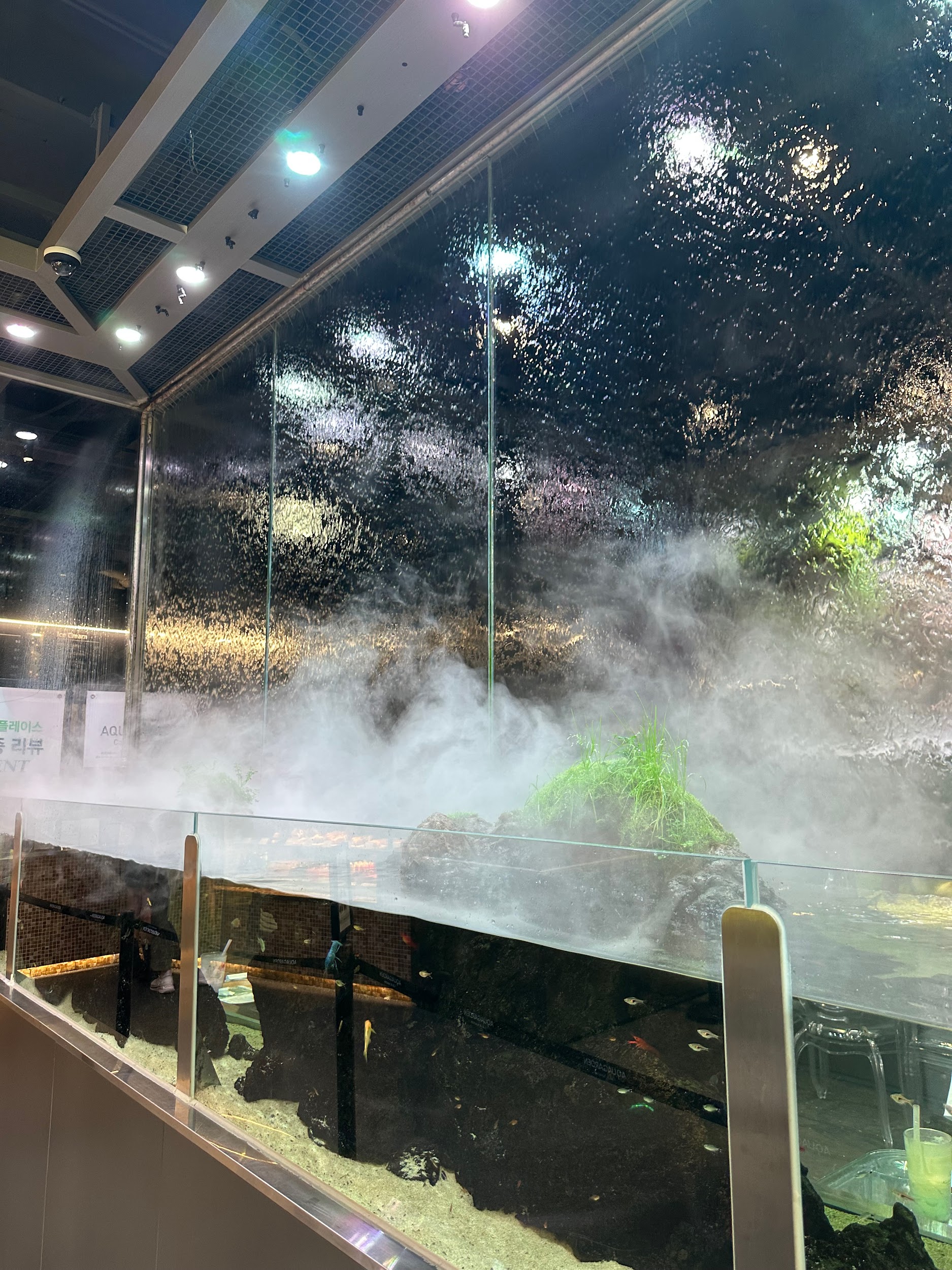 Top 5 unusual and trendy places to discover at Seoul: 16