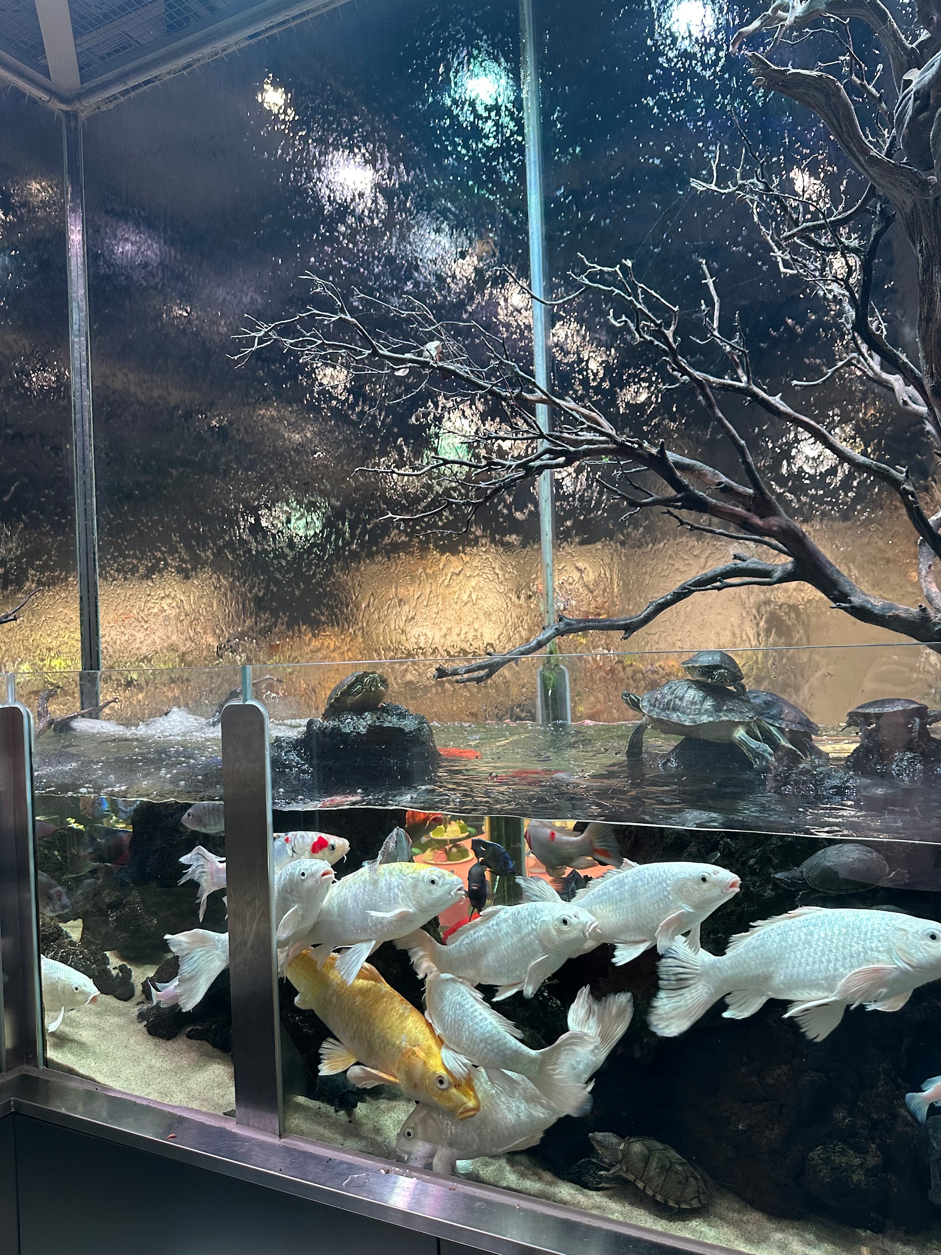 Top 5 unusual and trendy places to discover at Seoul: 18
