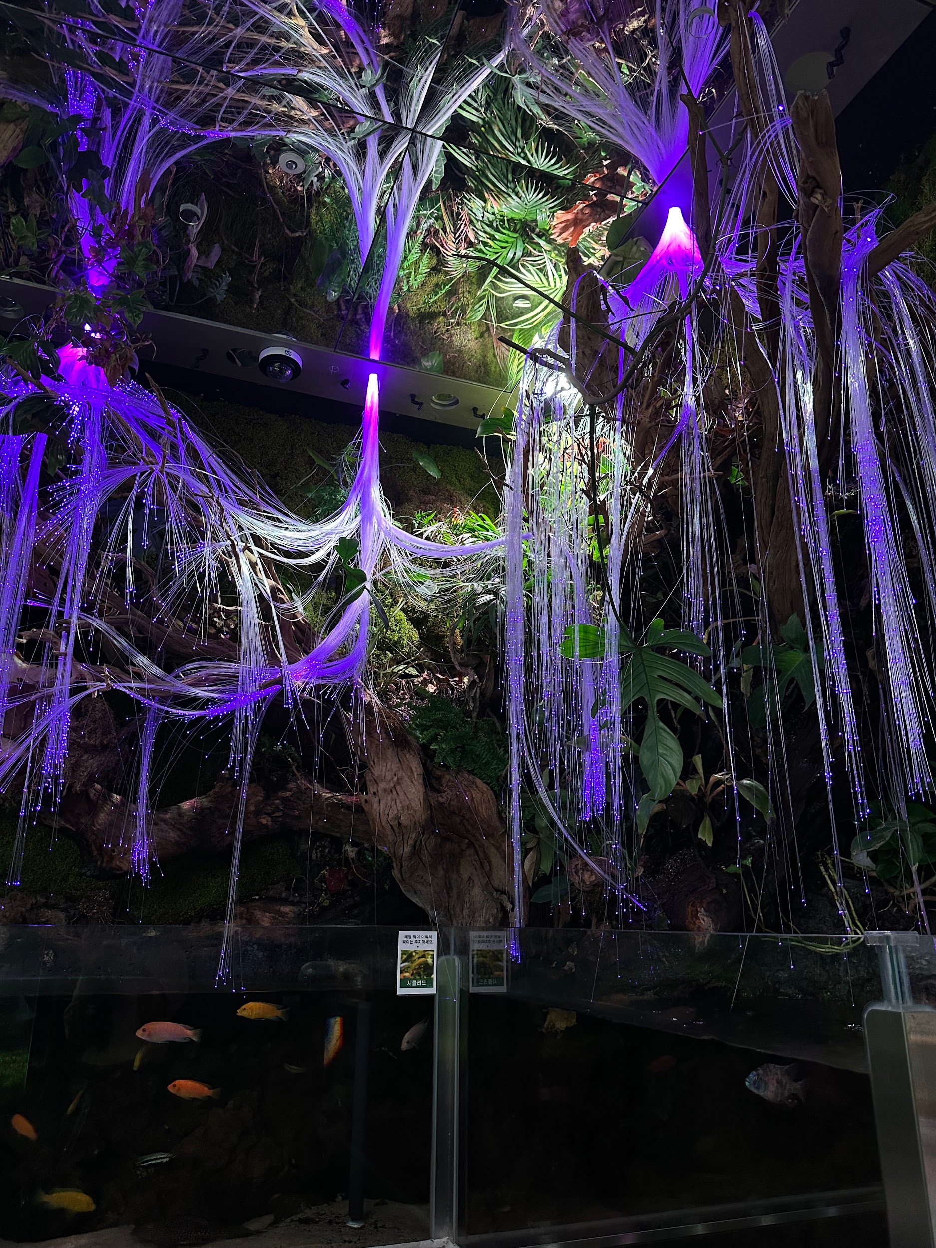 Top 5 unusual and trendy places to discover at Seoul: 19