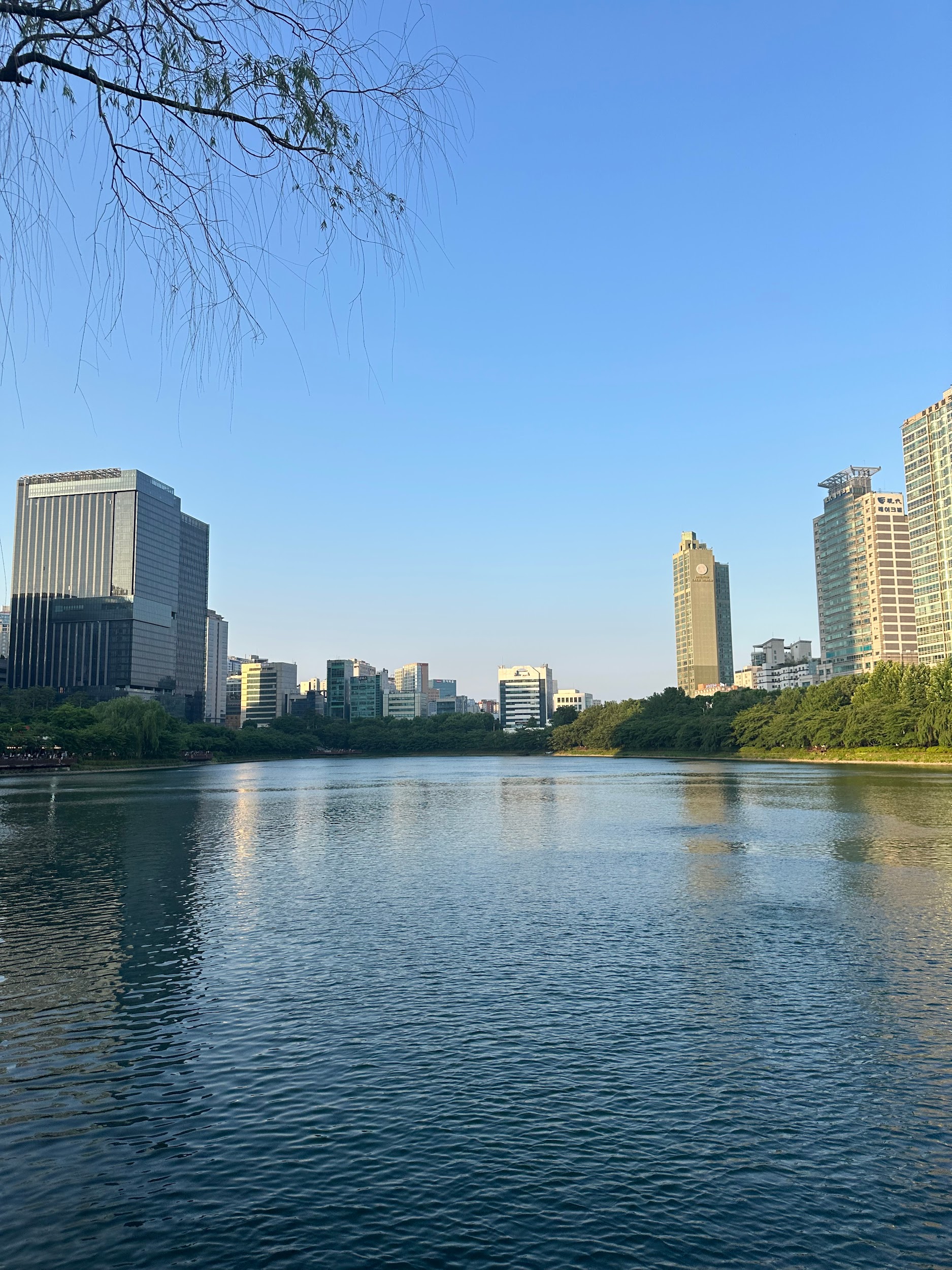Top 5 unusual and trendy places to discover at Seoul: 22