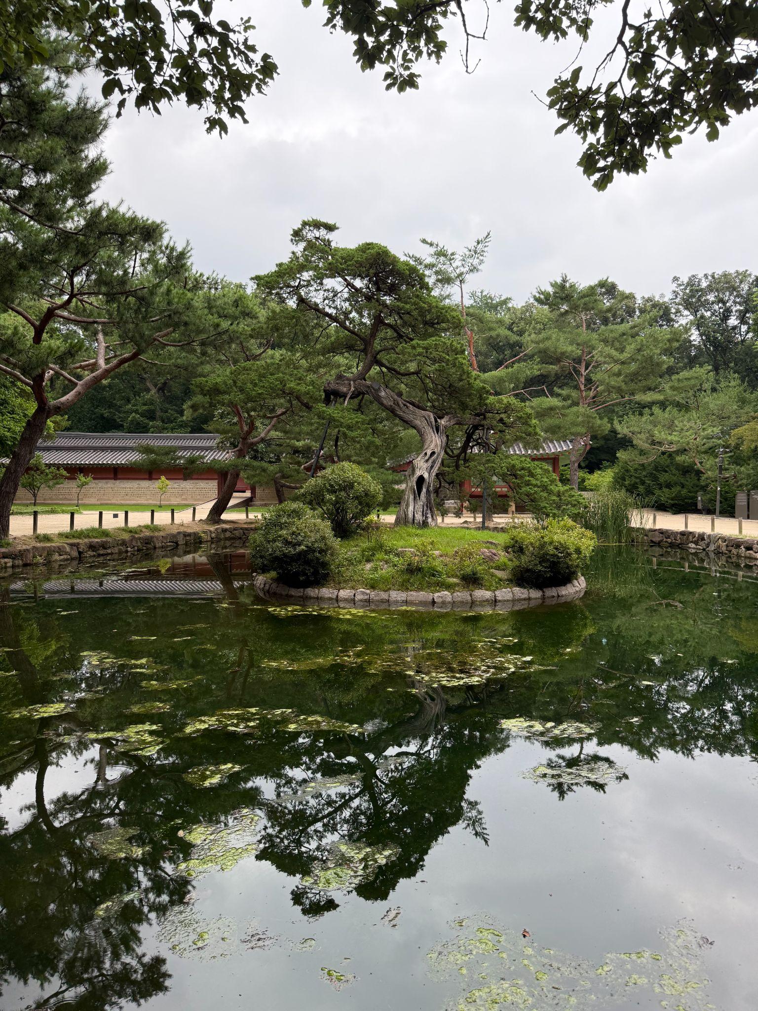 Explore Jongmyo Shrine: Korea’s UNESCO Confucian Landmark 4