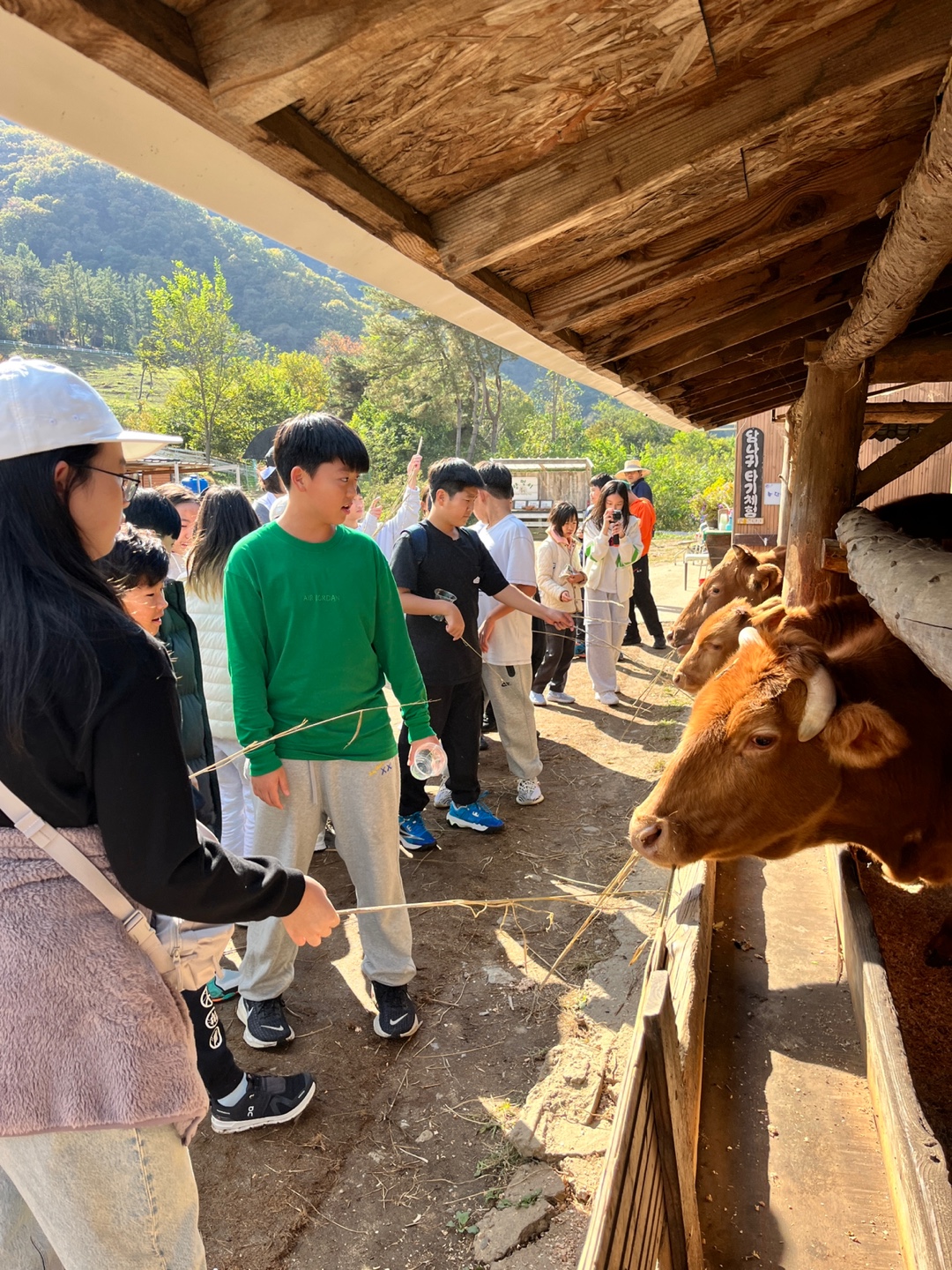 Top School Trip Provider in Korea: Outdoor Education Programs with Adventure Korea 5