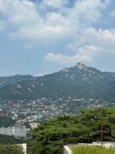 IMG_0886