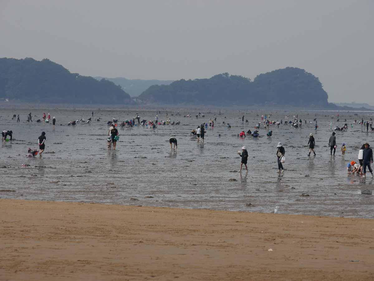 Learn Outside The Classroom With Adventure Korea 6