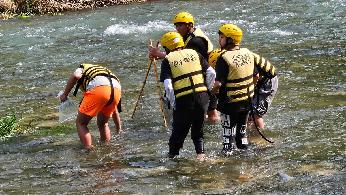 Learn Outside The Classroom With Adventure Korea 8